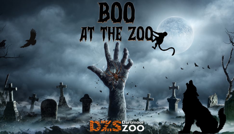 Boo at the Zoo